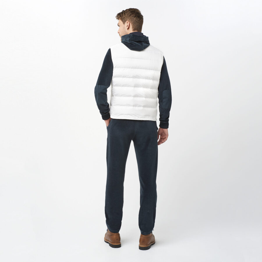 Genes Vest